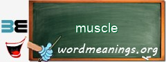 WordMeaning blackboard for muscle